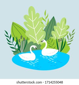 Vector illustration with two swans on a lake.