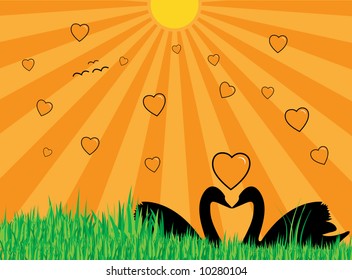 Vector illustration of two swans showing their silhouettes, many hearts, grass and sun with rays