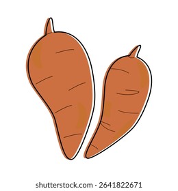 Vector illustration of two sweet potatoes in orange tones