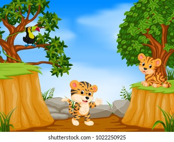 vector illustration of two tiger and toucan with mountain cliff scene