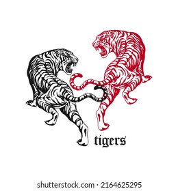 vector illustration of two tigers detail