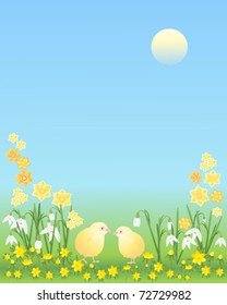 vector illustration of two tiny golden easter chicks with snowdrops  aconites and narcissus flowers under a blue sky with sun in eps 10 format