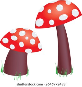 Ilustração vetorial de dois cogumelos toadstool com tampas vermelhas pontilhadas.
