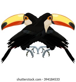 Vector illustration with two toucans