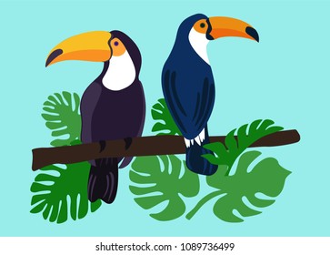 Vector illustration of two toucans sitting on tree branch with tropic leaves 