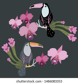 Vector illustration with two toucans surrounded by orchids and tropical plants.