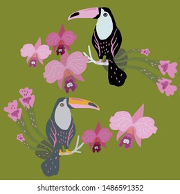 Vector illustration with two toucans surrounded by orchids and tropical plants.