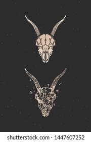 Vector illustration with two variants of hand drawn goat skull on black background. Gold silhouettes and contour with grunge texture. For you design, print, tattoo or magic craft.