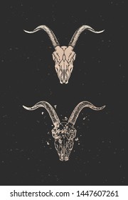 Vector illustration with two variants of hand drawn goat skull on black background. Gold silhouettes and contour with grunge texture. For you design, print, tattoo or magic craft.