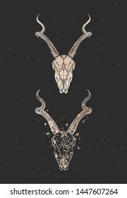 Vector illustration with two variants of hand drawn antelope skull on black background. Gold silhouettes and contour with grunge texture. For you design, print, tattoo or magic craft.