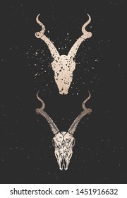 Vector illustration with two variants of hand drawn antelope skull on black background. Gold silhouettes and contour with grunge texture. For you design, print, tattoo or magic craft.