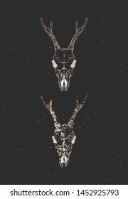 Vector illustration with two variants of hand drawn roe deer skulls on black background. Gold silhouettes and contour with grunge texture. For you design, print, tattoo or magic craft.