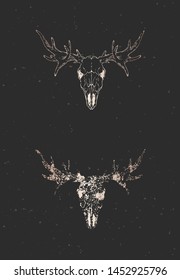 Vector illustration with two variants of hand drawn moose skull on black background. Gold silhouettes and contour with grunge texture. For you design, print, tattoo or magic craft.