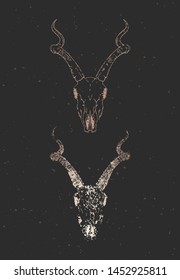 Vector illustration with two variants of hand drawn antelope skull on black background. Gold silhouettes and contour with grunge texture. For you design, print, tattoo or magic craft.
