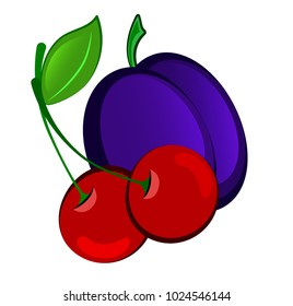 Vector illustration with two whole cherries and a blue plum. Cherry juice and plum. Vitamins