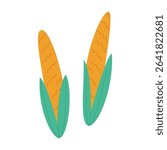 Vector illustration of two yellow corn cobs with green husks.
