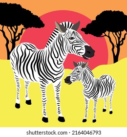 Vector illustration of two zebras on red sunset background