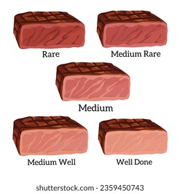 Vector illustration type of steak,steak doneness,set of steak, menu of steak on white background