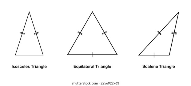 Vector illustration of a type of triangle on a white background