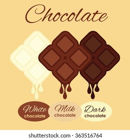 vector illustration / types of chocolate 