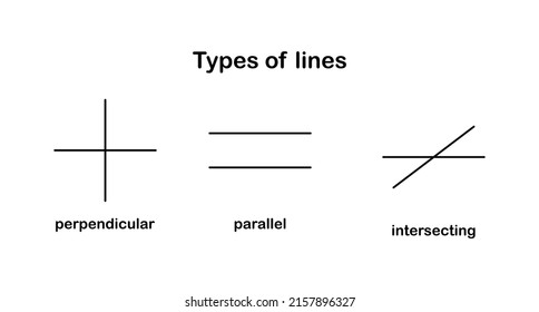 Vector Illustration Types Lines Including Perpendicular Stock Vector ...