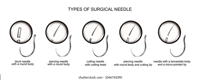 Vector Illustration Types Of Surgical Needles.surgery