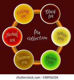 Vector  illustration of types tea. 