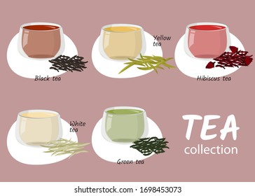 Vector illustration. Types of tea in glass cups. Hot drinks collection.