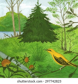 Vector illustration of a typical late spring or early summer nature and yellow bird on a pine branch