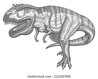 Vector Illustration of Tyrannosaurus with Engraving style	