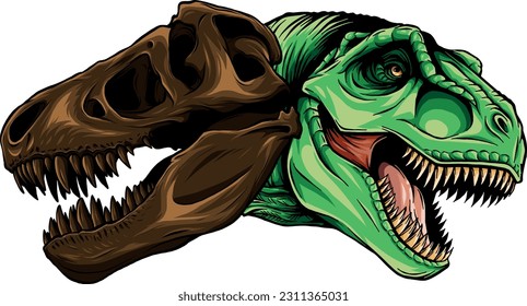 vector illustration of Tyrannosaurus rex with skull