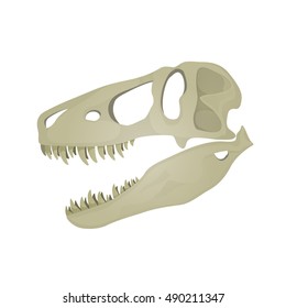 Vector illustration of Tyrannosaurus Rex skull. 