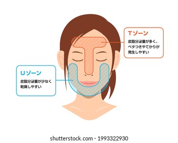 Vector illustration of T-zone and U-zone of female face. translation: T-zone, U-zone.