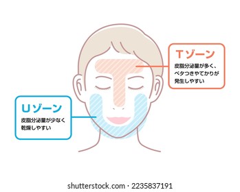 Vector illustration of T-zone and U-zone of female face. Translation: T-zone, The amount of sebum secreted is high, so the skin becomes oily, U-zone, Low sebum secretion and easy to dry