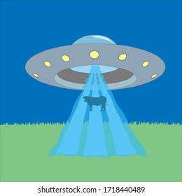 Vector illustration of a UFO abducts a cow