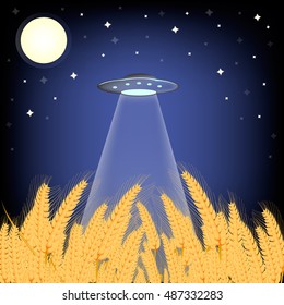 Vector illustration of a UFO at night in a wheat field.