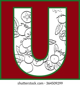 Vector illustration of ugni berries inside of letter U. Limited colors graphic. Hand drawing.