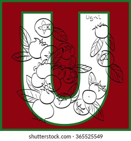 Vector illustration of ugni berries inside of letter U. Limited colors graphic. Hand drawing.