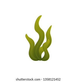 Vector illustration of underwater seaweed in flat style. Green alga plant isolated on white background for logotype, card, design concept, mobile app.