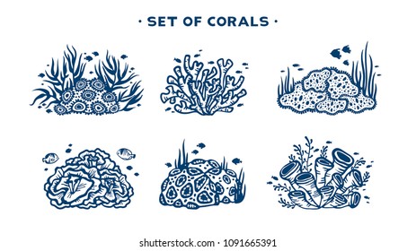 Vector illustration with underwater set - Coral reef with fishes and seaweeds on a white background.