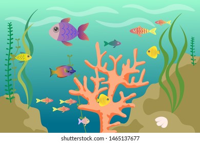 Vector illustration of the underwater world.