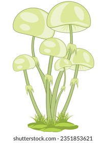 Vector illustration uneatable dangerous mushroom on herb