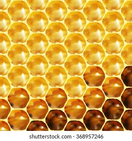Vector illustration - unfinished honey in honeycombs. Eps 8 using mesh.