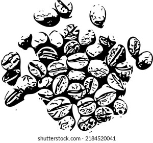 Vector illustration, unground coffee bean graphic, good for food industry and more.