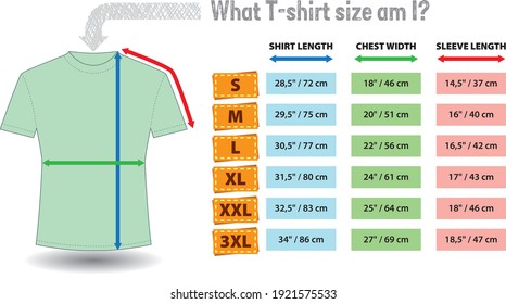 Vector illustration of unisex short sleeve t-shirts - sizing chart.