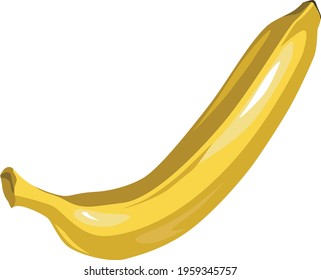 Vector illustration of unopened bananas.