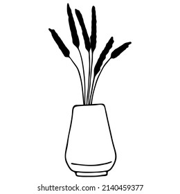 Vector illustration. Unpainted dried flowers in a vase isolated on white. Reed branches.Hand drawn simple doodle clipart. Perfect for cards, poster, banner, print, patterns, coloring book.