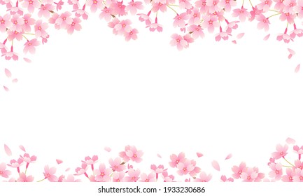 Vector illustration of upper and lower frames of cherry blossoms