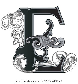 Vector Illustration Letter E Decorations Isolated: стоковая векторная ...