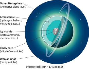 Vector Illustration Of Uranus Basic Internal Structure.